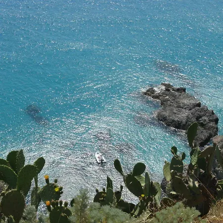 Anna Tropea